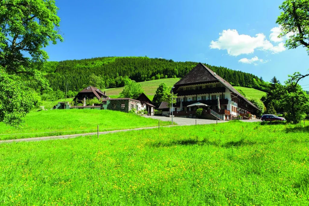 landgasthaus grüner baum