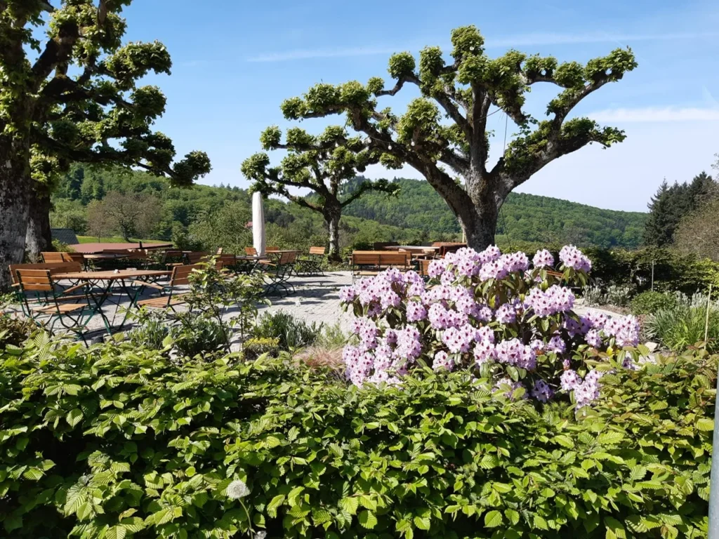landgasthof grüner baum