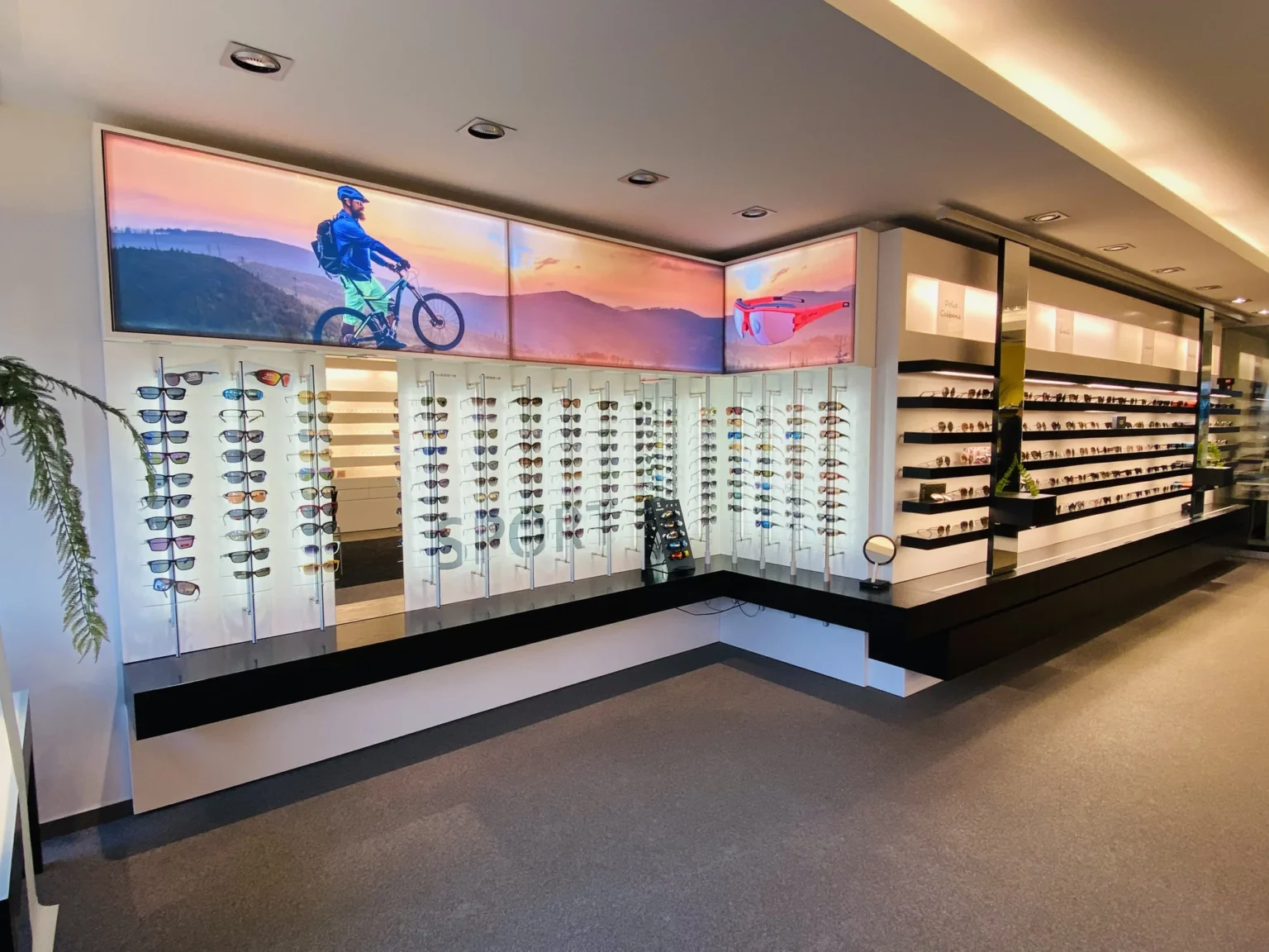 optik nosch