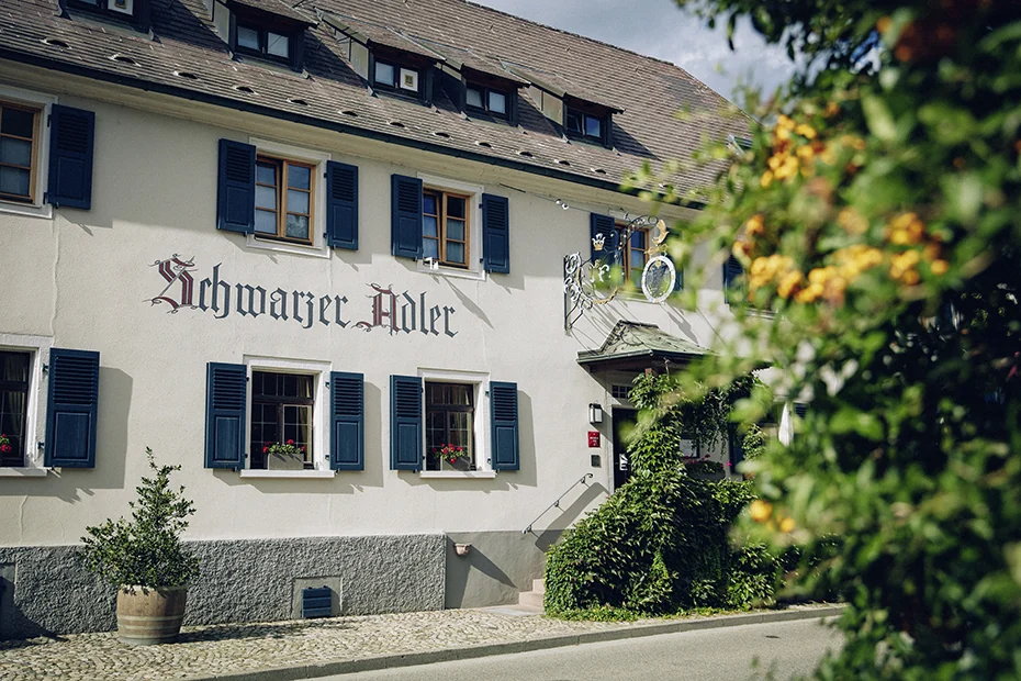 schwarzer adler