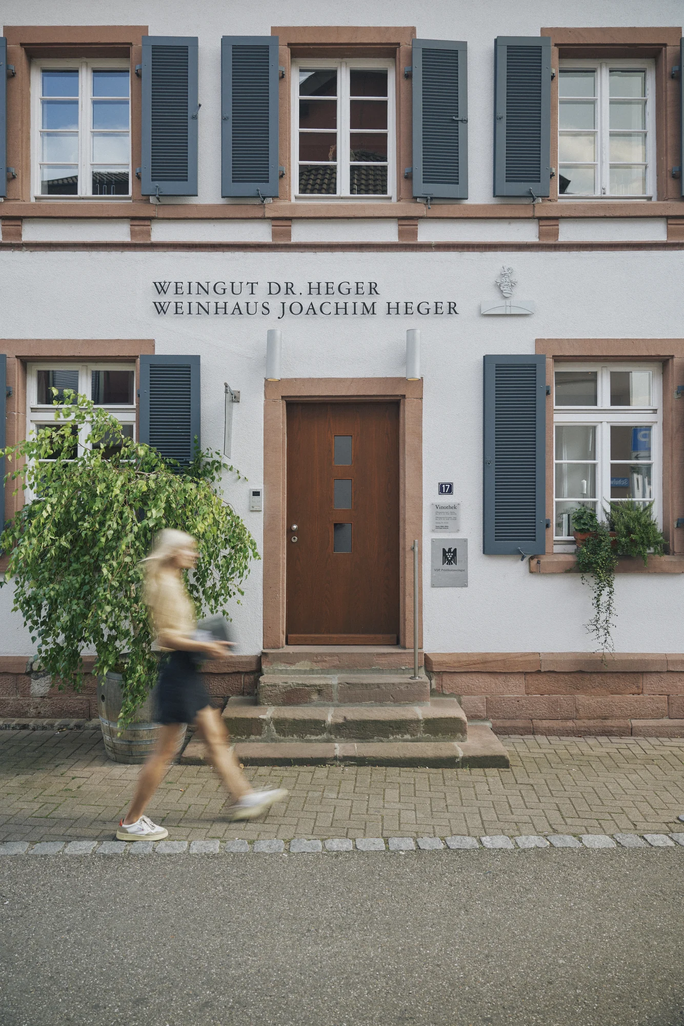 weingut dr. heger