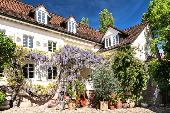 weingut hermann dörflinger