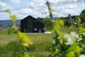 weingut weber